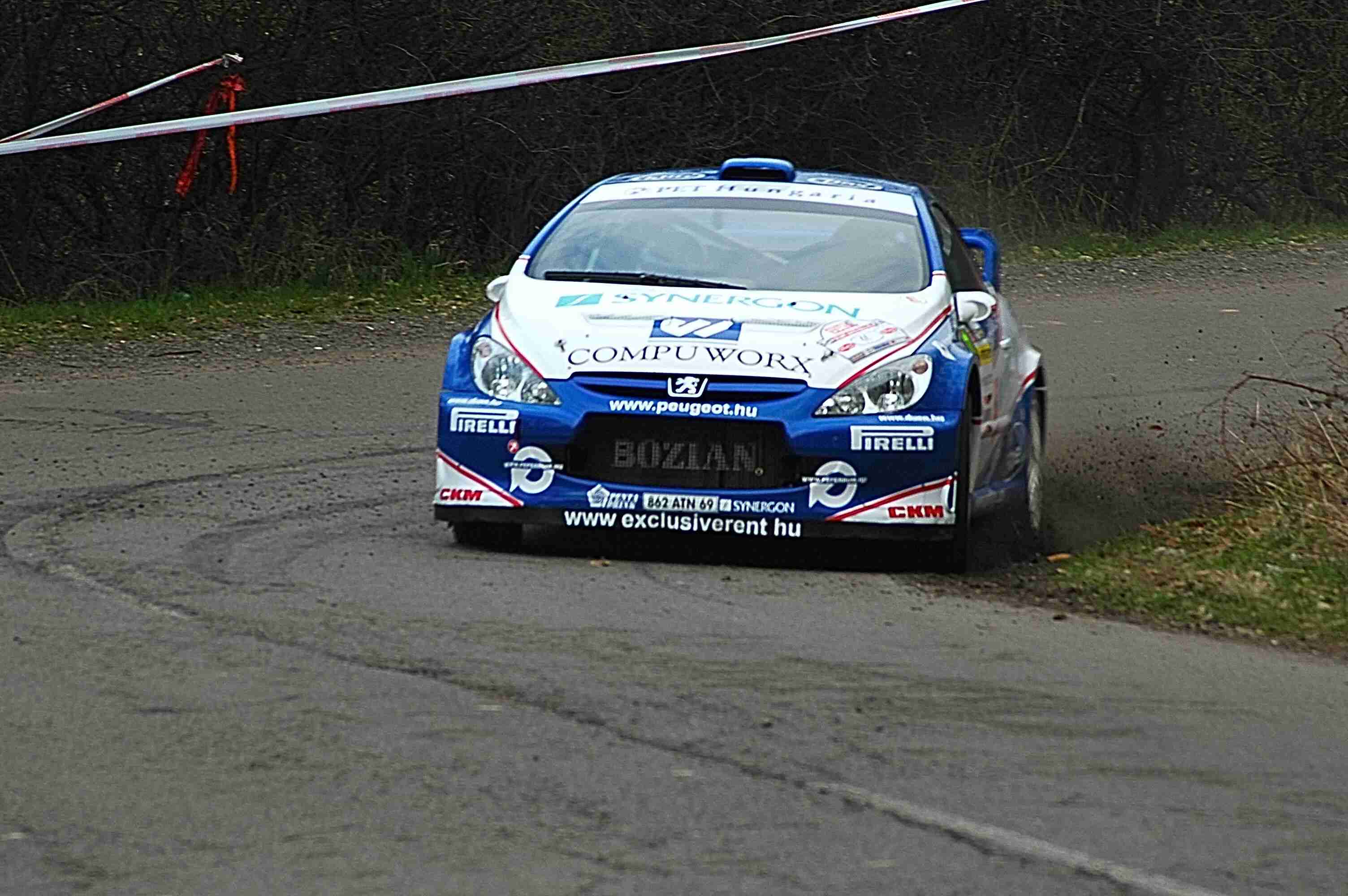 Peugeot 307 WRC